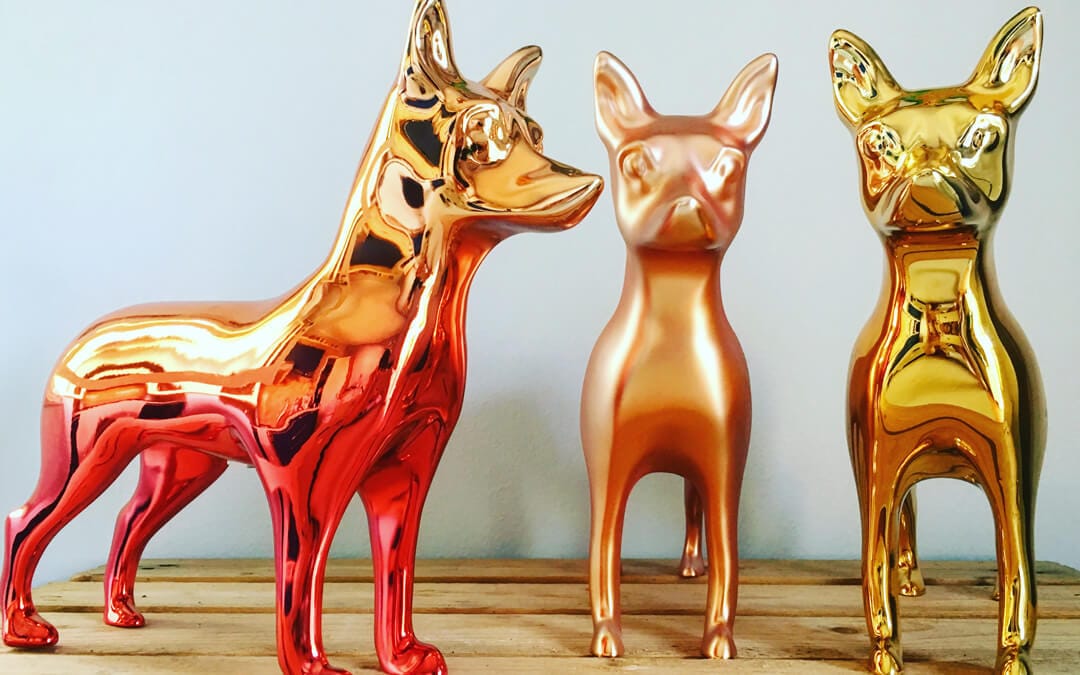 Angela A. Resina_Nina for the dogs