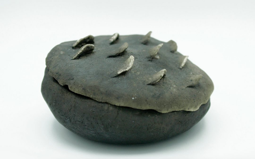 Elisabetta Cavalieri Ducati_Tridacna porosa