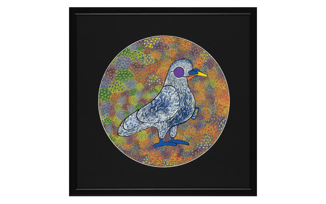Liw Volpini_Pigeon